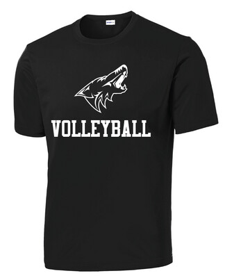Anna Volleyball - 1 Color - Dri-Fit Short Sleeve