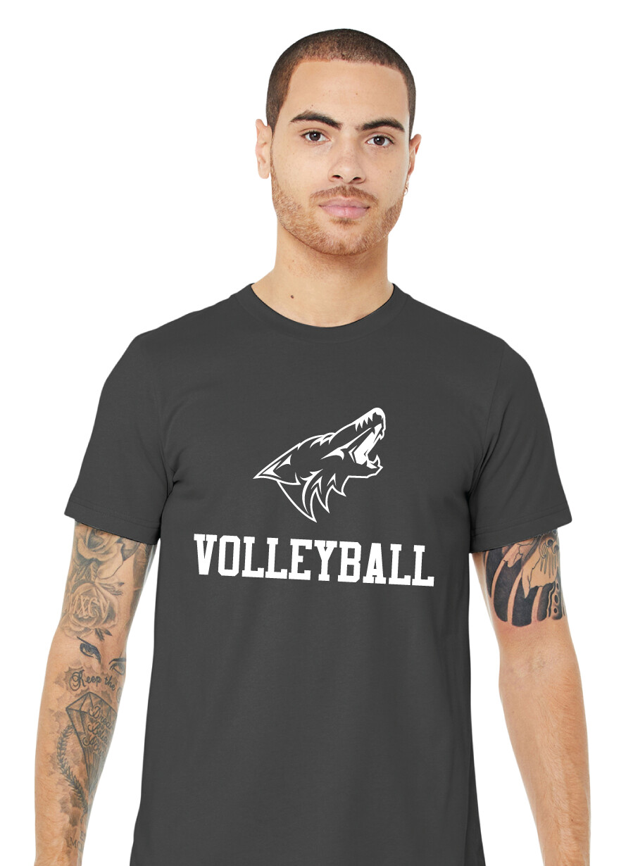 Anna Volleyball - 1 Color - Bella+Canvas Short Sleeve