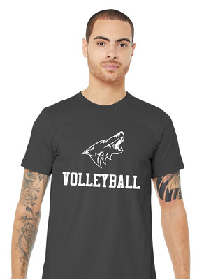 Anna Volleyball - 1 Color - Bella+Canvas Short Sleeve