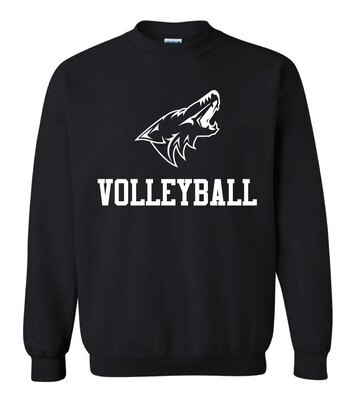 Anna Volleyball - 1 Color - Crew Sweatshirt