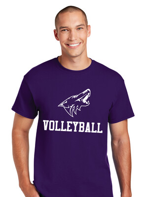 Anna Volleyball - 1 Color - Short Sleeve