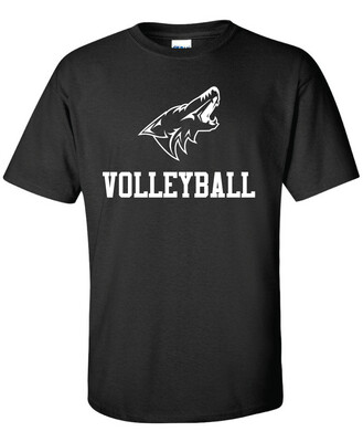 Anna Volleyball - 1 Color - Short Sleeve