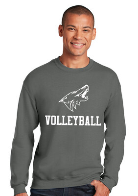 Anna Volleyball - 1 Color - Crew Sweatshirt