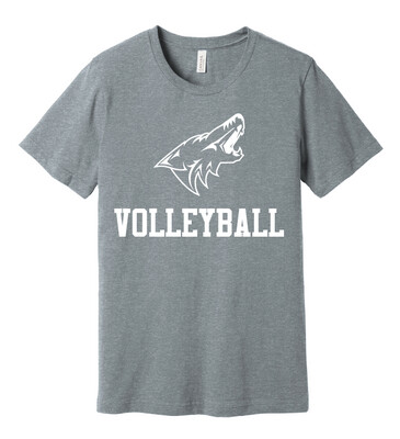 Anna Volleyball - 1 Color - Bella+Canvas Short Sleeve