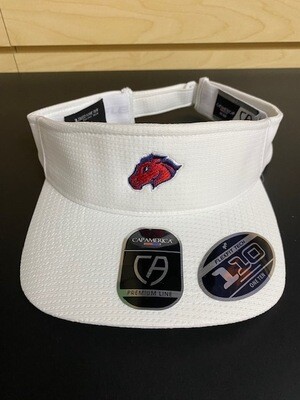 USW Gear - Mustang Visor