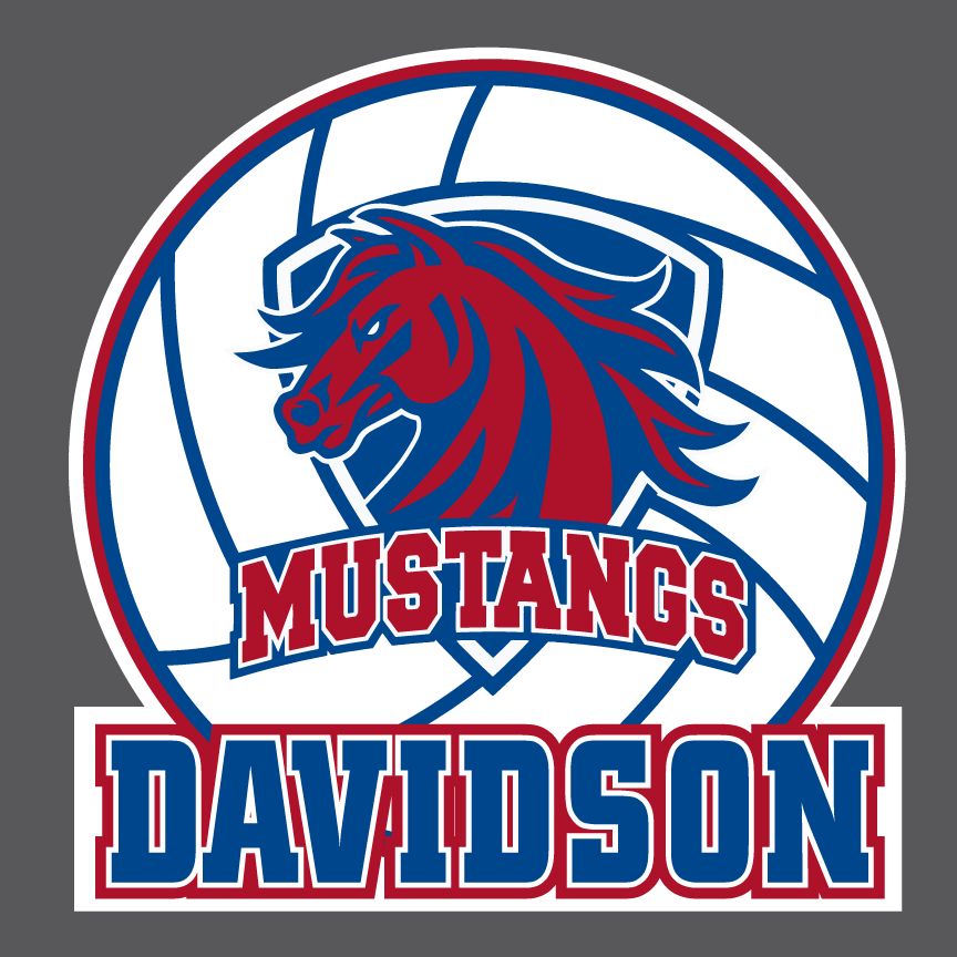 Ford Volleyball - Yard Sign