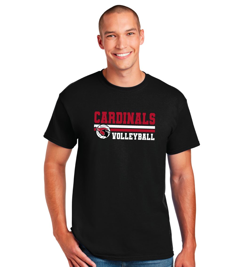 Volleyball Stripes