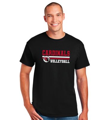 Volleyball Stripes