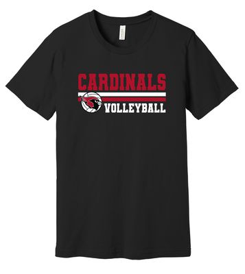 Volleyball Stripes