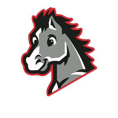 Minshew Colts