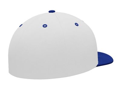 Paw Shop - MVP Fitted Hat