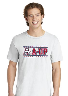 Allen Volleyball - A-UP - Comfort Colors Short Sleeve