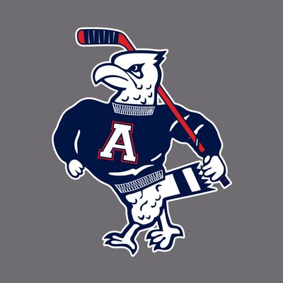 Allen Eagle Hockey - Tuffy Window Decal