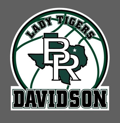 Blue Ridge Tigers - Basketball Yard Sign