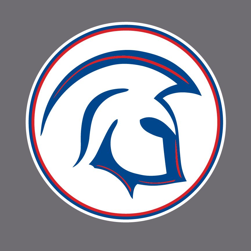 Warriors Hockey - Helmet Window Decal