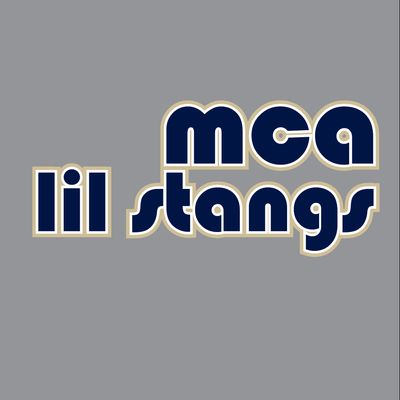 MCA Lil Stangs - GROOVY