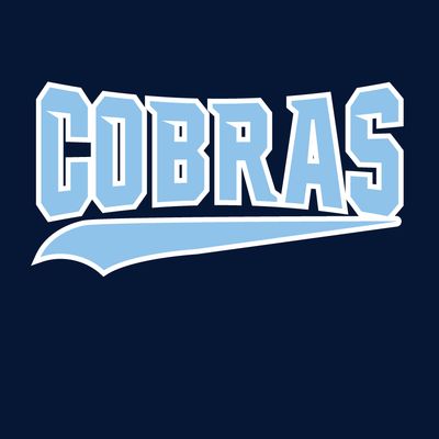 Cobras Baseball - Briggs