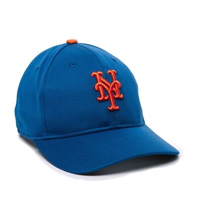 PBSA - MLB Replica Hat