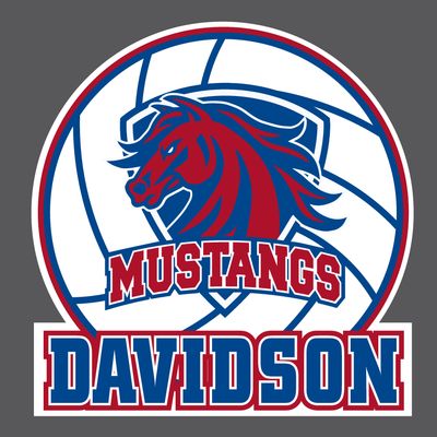 Ford Volleyball - Yard Sign