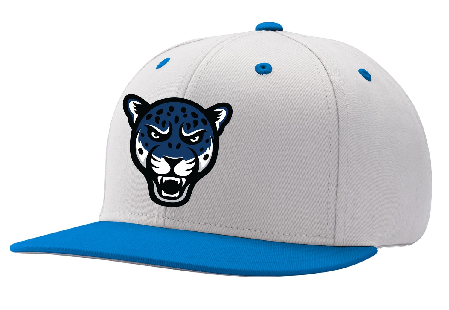 Jones Jaguars - LOGO SNAPBACK HAT