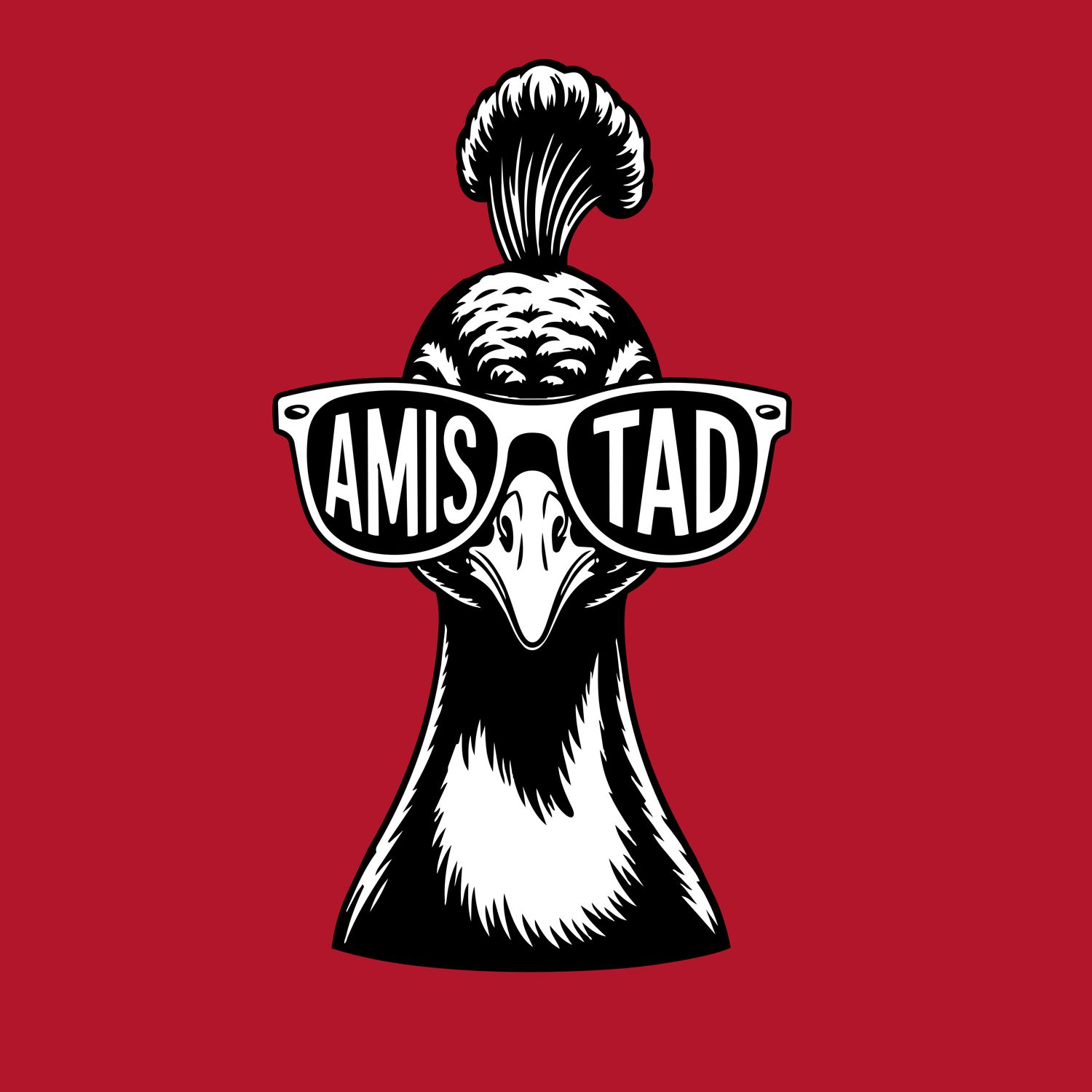 Elliott Elementary - AMISTAD PEACOCK