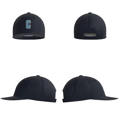 Cobras Baseball - Briggs - SNAPBACK GAME HAT