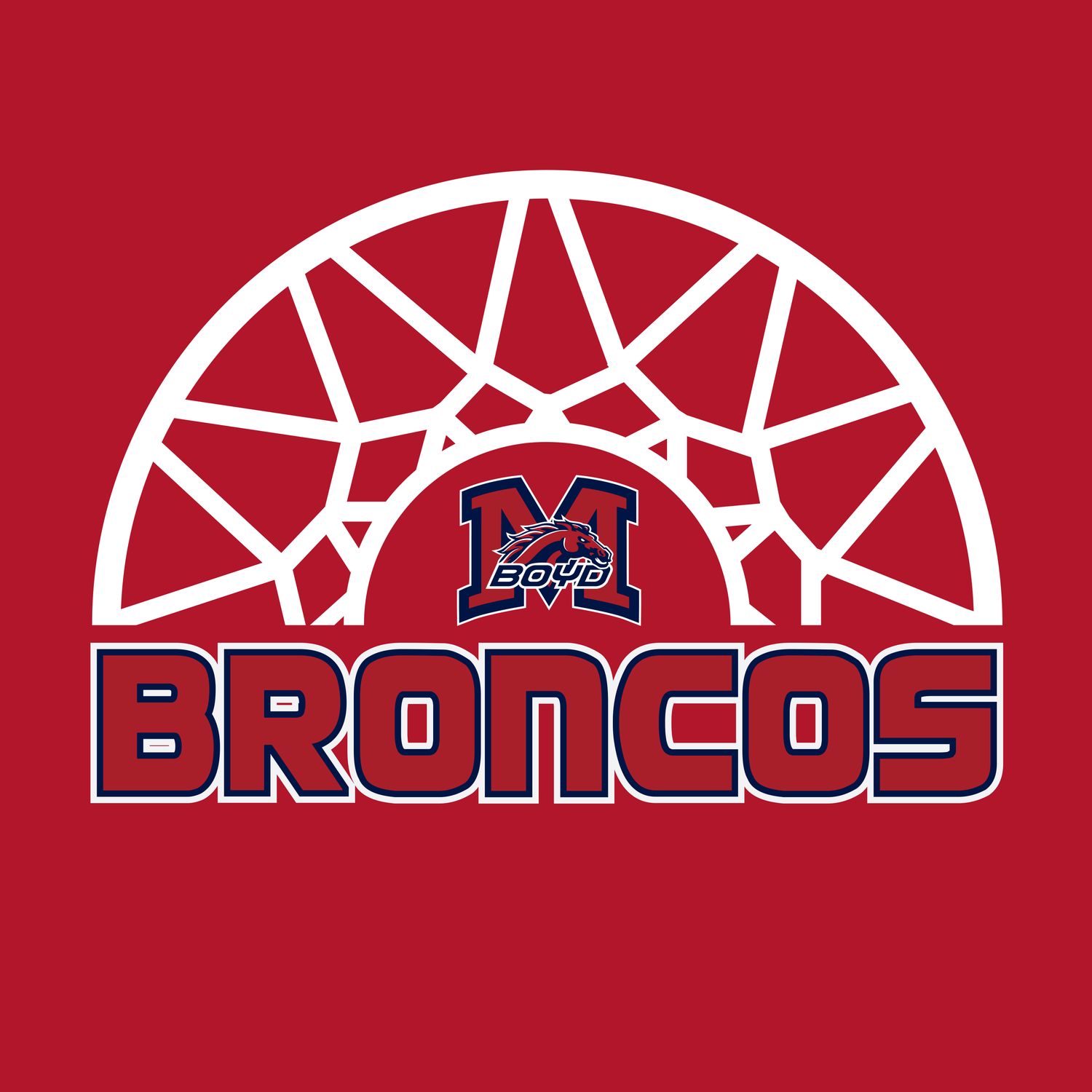 Boyd Basketball - HALF NET