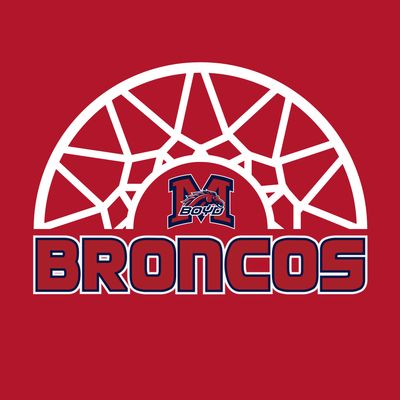 Boyd Basketball - HALF NET