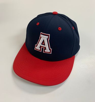Allen Eagles - A FLEX-FIT HAT