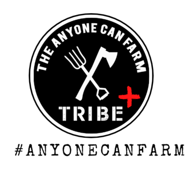 Tribe+ Membership