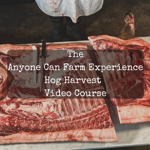 Hog Harvest Masterclass