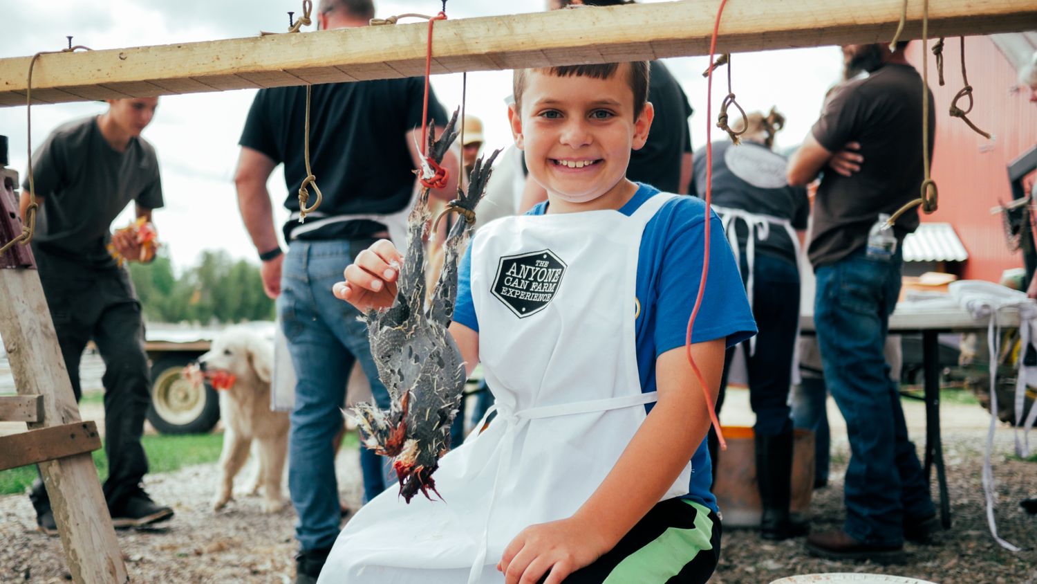 Step by Step Chicken Processing  on demand video course