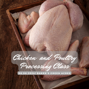 Chicken and Poultry Processing Intensives 2025