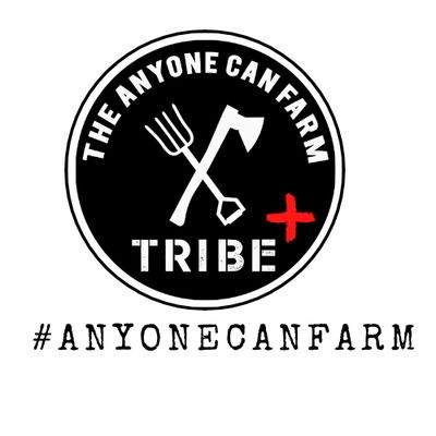 Tribe+ Membership
