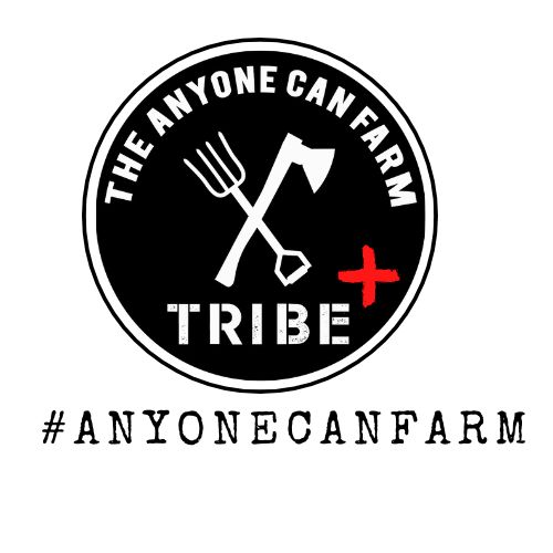 Tribe+ Membership