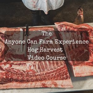 Hog Harvest Masterclass
