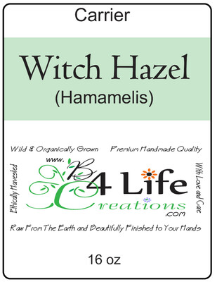 15 OZ Witch Hazel (Hamamelis)