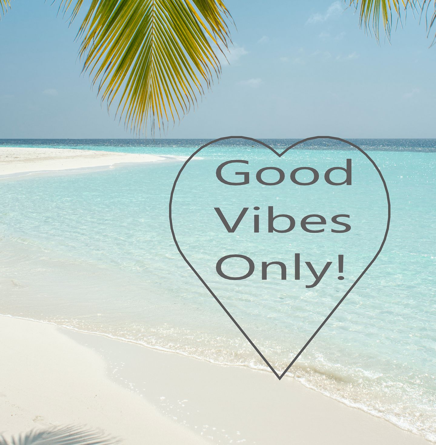 REMOTE MICRO CONSULTATION / READING