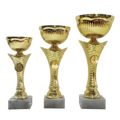 גביע זהב איכותי וייחודי - 3 מידות