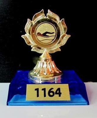 דגם 1164 מגן מתכת צבע זהב על בסיס פלסטיק עם סמל ענף/לוגו  גובה 10 ס"מ  כולל הקדשה