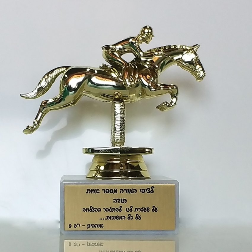 מתנה למורה - מתגברים על המשוכות מתנה למורה - מתגברים על המשוכות