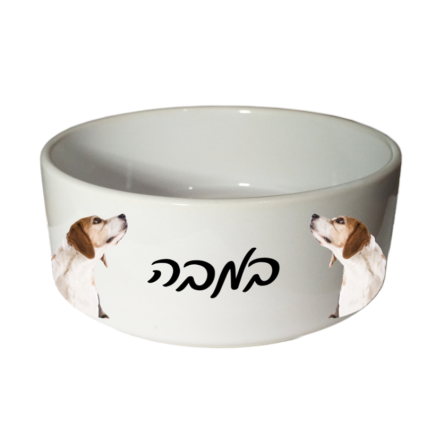 קערת אוכל לכלב - שתי תמונות קערת אוכל לכלב - שתי תמונות