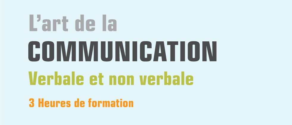 L&#39;art de la communication verbale et non verbale - 3H (im)