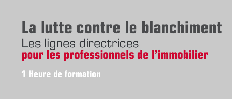 LA LUTTE CONTRE LE BLANCHIMENT LA LUTTE CONTRE LE BLANCHIMENT