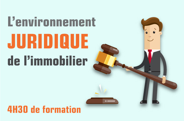 L'environnement juridique de l'immobilier L'environnement juridique de l'immobilier
