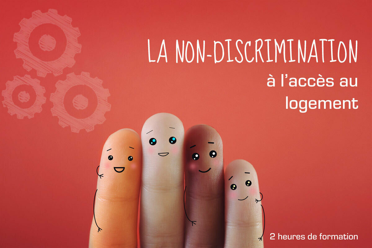 LA NON-DISCRIMINATION DANS LE SECTEUR DE L'IMMOBILIER LA NON-DISCRIMINATION DANS LE SECTEUR DE L'IMMOBILIER