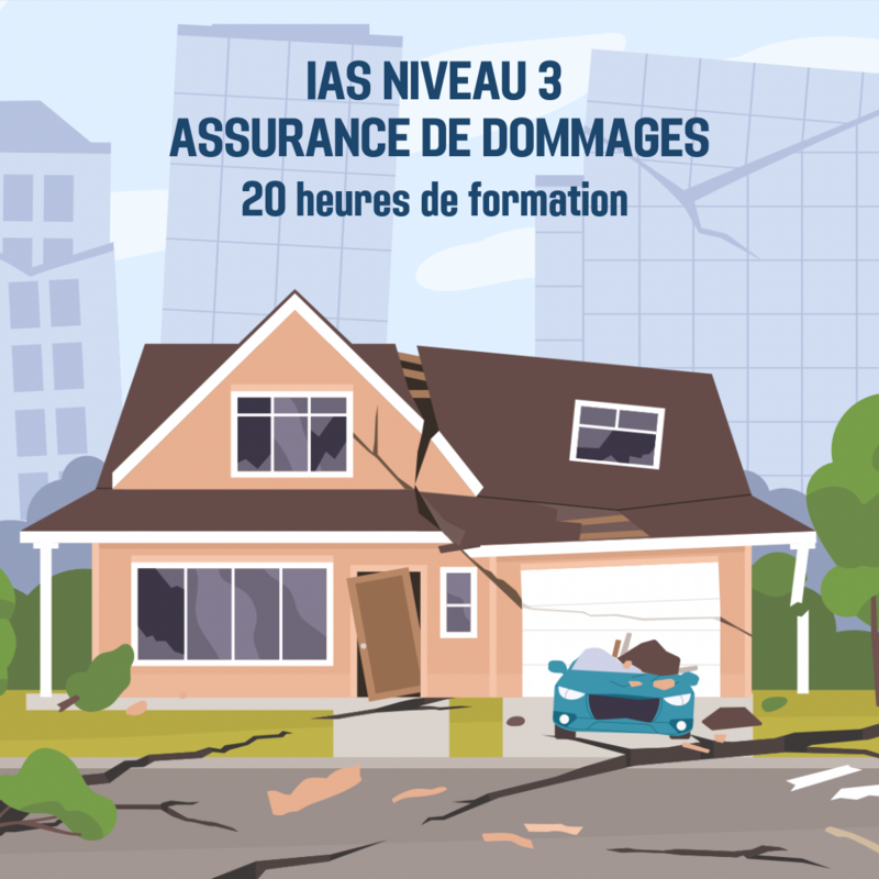 IAS Niveau III Assurance de dommages - 20H (as)