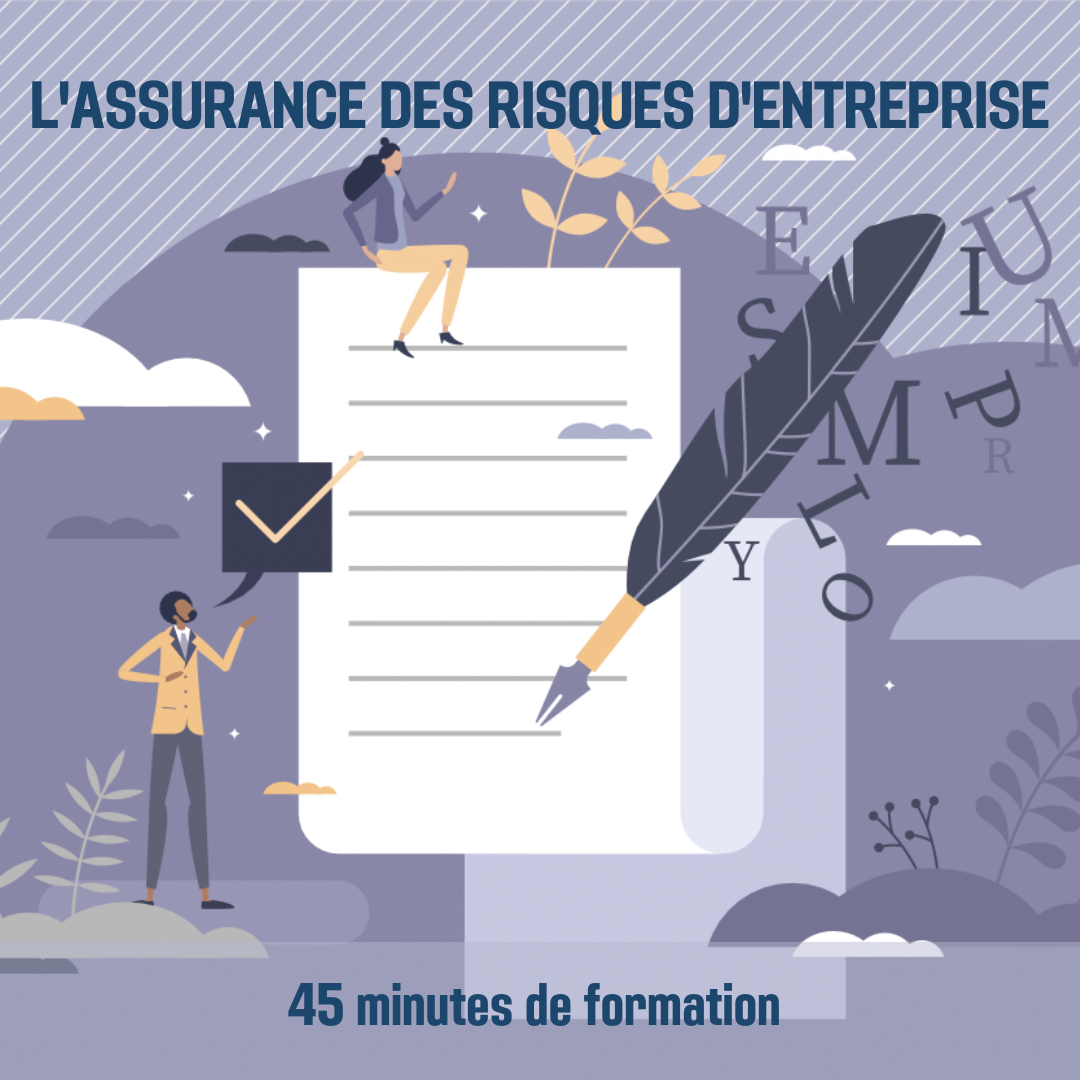 L&#39;assurance des risques d&#39;entreprise - 0H45 (as)