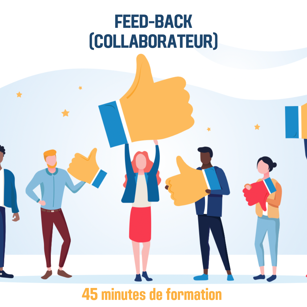 Feed-back (collaborateur) - 0H45 (ss)
