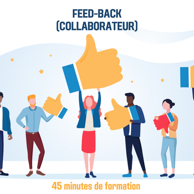 Feed-back (collaborateur) - 0H45 (ss)